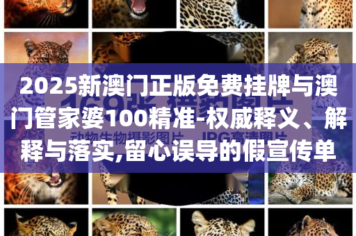 2025新澳門正版免費掛牌與澳門管家婆100精準-權(quán)威釋義、解釋與落實,留心誤導(dǎo)的假宣傳單
