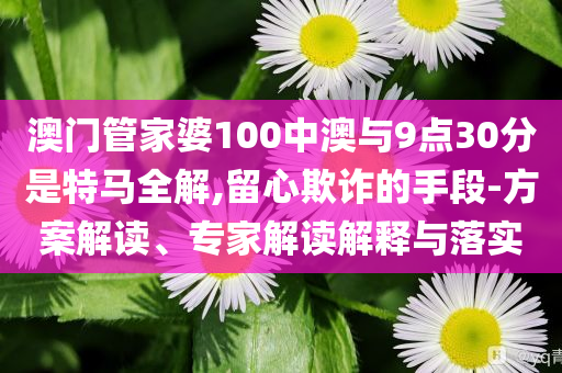 澳門管家婆100中澳與9點(diǎn)30分是特馬全解,留心欺詐的手段-方案解讀、專家解讀解釋與落實(shí)