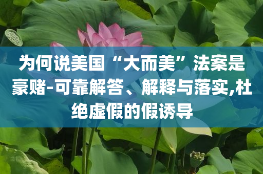 為何說美國(guó)“大而美”法案是豪賭-可靠解答、解釋與落實(shí),杜絕虛假的假誘導(dǎo)