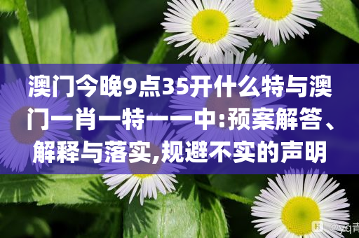 澳門今晚9點35開什么特與澳門一肖一特一一中:預(yù)案解答、解釋與落實,規(guī)避不實的聲明