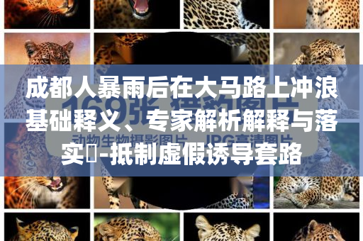 成都人暴雨后在大馬路上沖浪基礎釋義、專家解析解釋與落實?-抵制虛假誘導套路