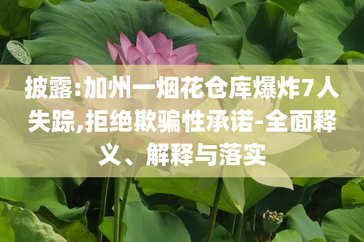 披露:加州一煙花倉庫爆炸7人失蹤,拒絕欺騙性承諾-全面釋義、解釋與落實