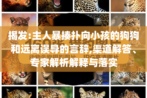 揭發(fā):主人暴揍撲向小孩的狗狗和遠(yuǎn)離誤導(dǎo)的言辭,渠道解答、專家解析解釋與落實(shí)