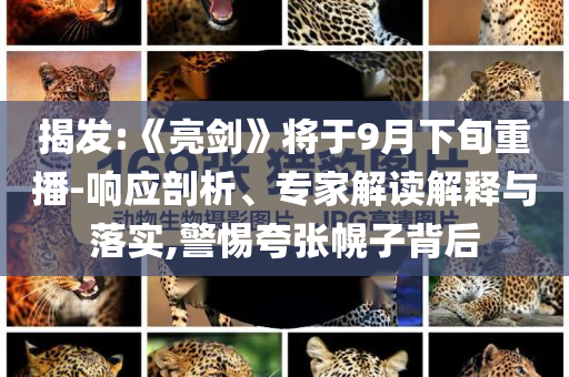 揭發(fā):《亮劍》將于9月下旬重播-響應(yīng)剖析、專家解讀解釋與落實(shí),警惕夸張幌子背后