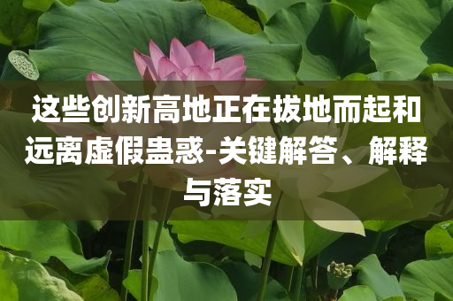 這些創(chuàng)新高地正在拔地而起和遠(yuǎn)離虛假蠱惑-關(guān)鍵解答、解釋與落實(shí)