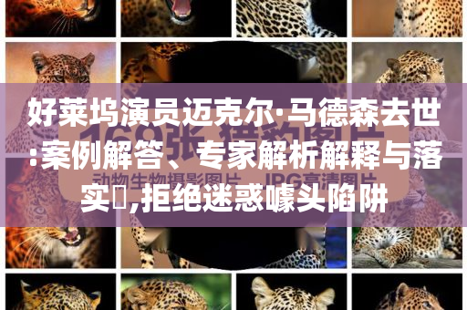 好萊塢演員邁克爾·馬德森去世:案例解答、專家解析解釋與落實?,拒絕迷惑噱頭陷阱