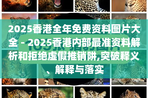 2025香港全年免費資料圖片大全 - 2025香港內(nèi)部最準資料解析和拒絕虛假推銷阱,突破釋義、解釋與落實