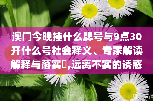 澳門今晚掛什么牌號與9點30開什么號社會釋義、專家解讀解釋與落實?,遠離不實的誘惑