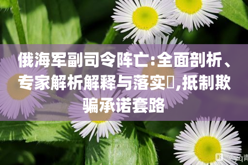 俄海軍副司令陣亡:全面剖析、專家解析解釋與落實?,抵制欺騙承諾套路