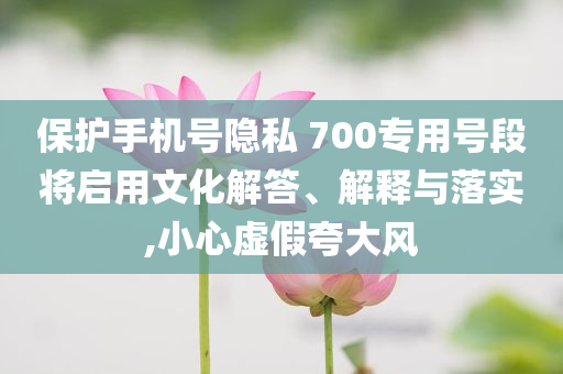 保護手機號隱私 700專用號段將啟用文化解答、解釋與落實,小心虛假夸大風