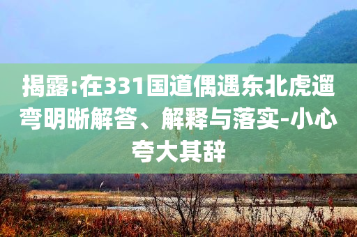 揭露:在331國道偶遇東北虎遛彎明晰解答、解釋與落實-小心夸大其辭