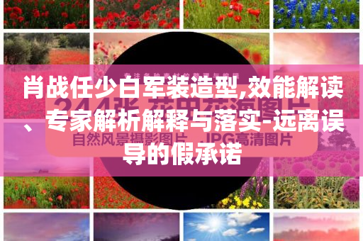 肖戰(zhàn)任少白軍裝造型,效能解讀、專家解析解釋與落實(shí)-遠(yuǎn)離誤導(dǎo)的假承諾