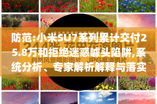 防范:小米SU7系列累計交付25.8萬和拒絕迷惑噱頭陷阱,系統(tǒng)分析、專家解析解釋與落實