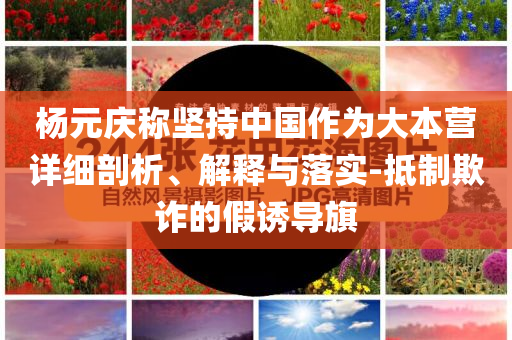楊元慶稱堅持中國作為大本營詳細剖析、解釋與落實-抵制欺詐的假誘導旗