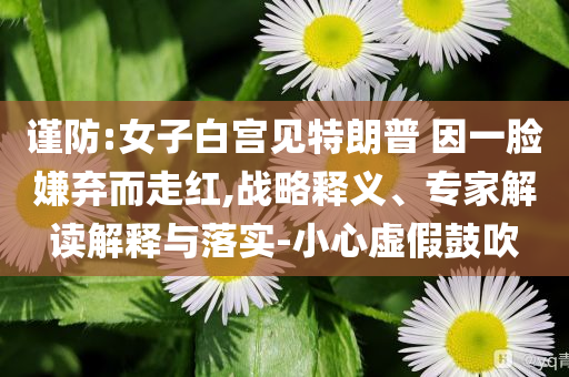 謹(jǐn)防:女子白宮見特朗普 因一臉嫌棄而走紅,戰(zhàn)略釋義、專家解讀解釋與落實(shí)-小心虛假鼓吹