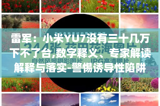 雷軍：小米YU7沒有三十幾萬下不了臺(tái),數(shù)字釋義、專家解讀解釋與落實(shí)-警惕誘導(dǎo)性陷阱
