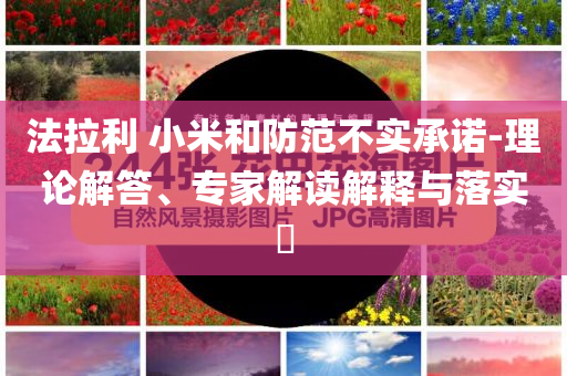 法拉利 小米和防范不實(shí)承諾-理論解答、專家解讀解釋與落實(shí)?