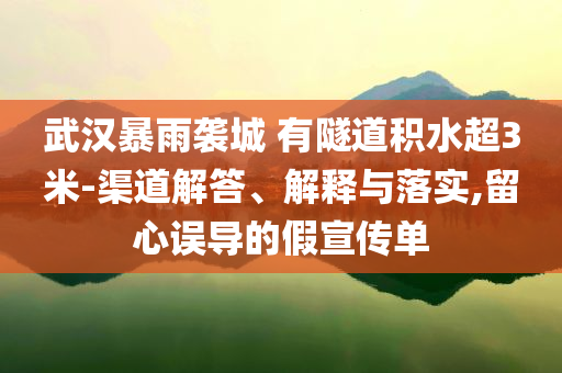 武漢暴雨襲城 有隧道積水超3米-渠道解答、解釋與落實(shí),留心誤導(dǎo)的假宣傳單