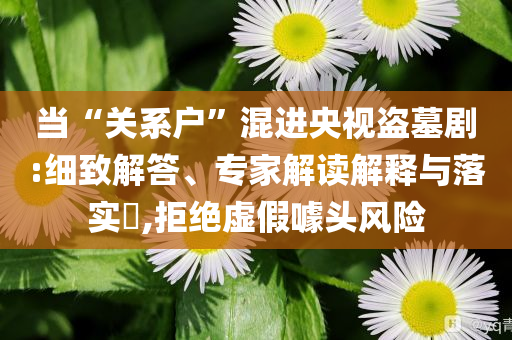 當(dāng)“關(guān)系戶”混進(jìn)央視盜墓劇:細(xì)致解答、專家解讀解釋與落實(shí)?,拒絕虛假噱頭風(fēng)險(xiǎn)