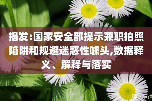 揭發(fā):國(guó)家安全部提示兼職拍照陷阱和規(guī)避迷惑性噱頭,數(shù)據(jù)釋義、解釋與落實(shí)