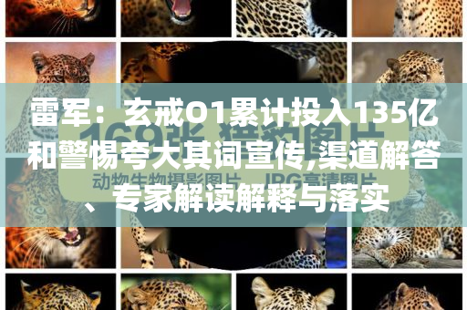 雷軍：玄戒O1累計投入135億和警惕夸大其詞宣傳,渠道解答、專家解讀解釋與落實