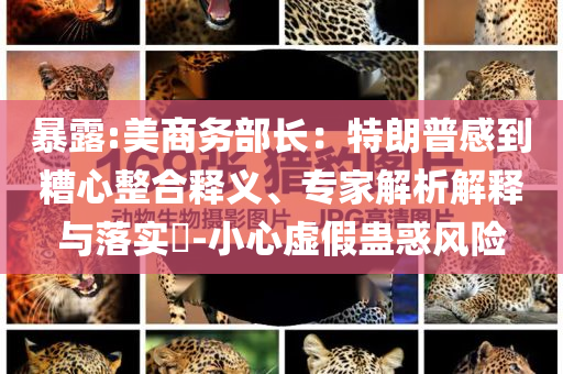 暴露:美商務(wù)部長(zhǎng)：特朗普感到糟心整合釋義、專家解析解釋與落實(shí)?-小心虛假蠱惑風(fēng)險(xiǎn)