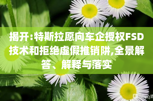 揭開(kāi):特斯拉愿向車企授權(quán)FSD技術(shù)和拒絕虛假推銷阱,全景解答、解釋與落實(shí)