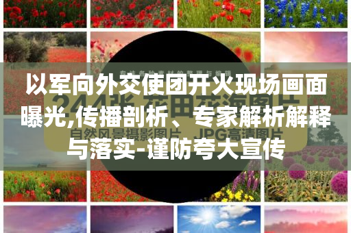 以軍向外交使團開火現(xiàn)場畫面曝光,傳播剖析、專家解析解釋與落實-謹(jǐn)防夸大宣傳