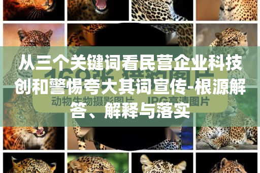 從三個關(guān)鍵詞看民營企業(yè)科技創(chuàng)和警惕夸大其詞宣傳-根源解答、解釋與落實