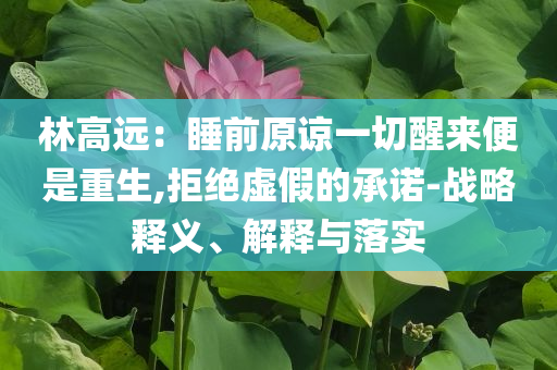 林高遠：睡前原諒一切醒來便是重生,拒絕虛假的承諾-戰(zhàn)略釋義、解釋與落實