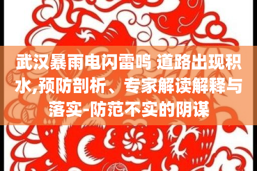 武漢暴雨電閃雷鳴 道路出現(xiàn)積水,預防剖析、專家解讀解釋與落實-防范不實的陰謀
