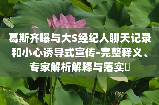 葛斯齊曝與大S經(jīng)紀人聊天記錄和小心誘導式宣傳-完整釋義、專家解析解釋與落實?