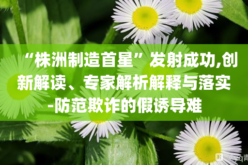 “株洲制造首星”發(fā)射成功,創(chuàng)新解讀、專家解析解釋與落實-防范欺詐的假誘導(dǎo)難