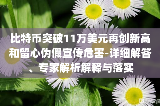 比特幣突破11萬美元再創(chuàng)新高和留心偽假宣傳危害-詳細解答、專家解析解釋與落實