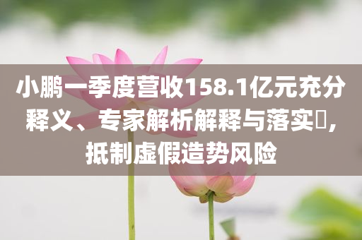 小鵬一季度營收158.1億元充分釋義、專家解析解釋與落實(shí)?,抵制虛假造勢風(fēng)險(xiǎn)