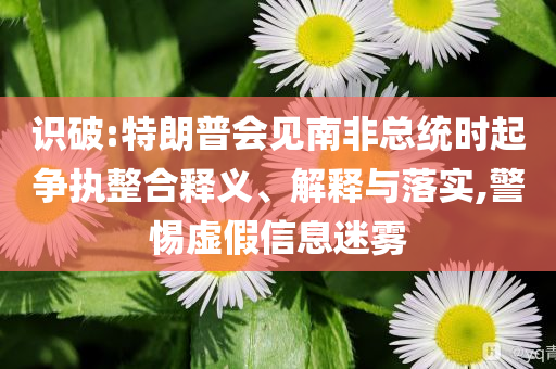 識(shí)破:特朗普會(huì)見南非總統(tǒng)時(shí)起爭(zhēng)執(zhí)整合釋義、解釋與落實(shí),警惕虛假信息迷霧