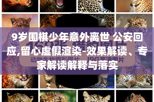 9歲圍棋少年意外離世 公安回應(yīng),留心虛假渲染-效果解讀、專家解讀解釋與落實