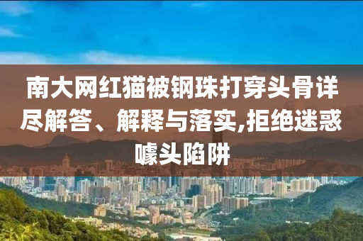 南大網(wǎng)紅貓被鋼珠打穿頭骨詳盡解答、解釋與落實,拒絕迷惑噱頭陷阱