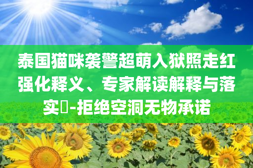泰國貓咪襲警超萌入獄照走紅強化釋義、專家解讀解釋與落實?-拒絕空洞無物承諾