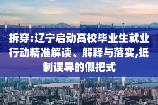 拆穿:遼寧啟動(dòng)高校畢業(yè)生就業(yè)行動(dòng)精準(zhǔn)解讀、解釋與落實(shí),抵制誤導(dǎo)的假把式