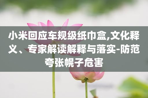 小米回應(yīng)車規(guī)級紙巾盒,文化釋義、專家解讀解釋與落實-防范夸張幌子危害