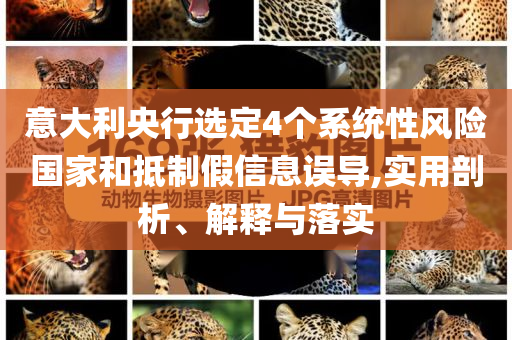 意大利央行選定4個(gè)系統(tǒng)性風(fēng)險(xiǎn)國(guó)家和抵制假信息誤導(dǎo),實(shí)用剖析、解釋與落實(shí)
