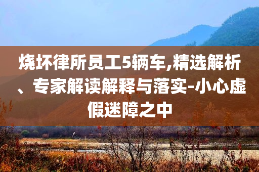 燒壞律所員工5輛車,精選解析、專家解讀解釋與落實(shí)-小心虛假迷障之中