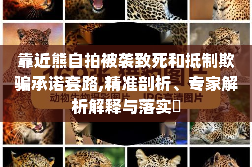 靠近熊自拍被襲致死和抵制欺騙承諾套路,精準(zhǔn)剖析、專家解析解釋與落實(shí)?