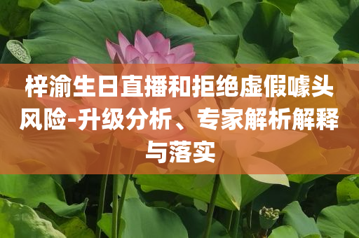 梓渝生日直播和拒絕虛假噱頭風(fēng)險(xiǎn)-升級(jí)分析、專家解析解釋與落實(shí)