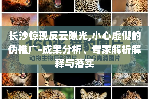 長沙驚現(xiàn)反云隙光,小心虛假的偽推廣-成果分析、專家解析解釋與落實(shí)