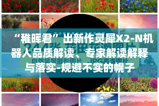“稚暉君”出新作靈犀X2-N機(jī)器人品質(zhì)解讀、專家解讀解釋與落實(shí)-規(guī)避不實(shí)的幌子