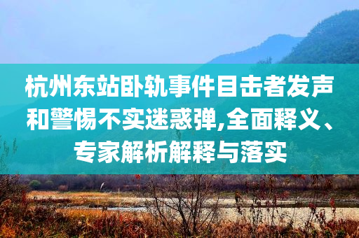 杭州東站臥軌事件目擊者發(fā)聲和警惕不實迷惑彈,全面釋義、專家解析解釋與落實