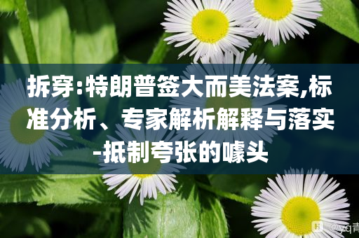 拆穿:特朗普簽大而美法案,標準分析、專家解析解釋與落實-抵制夸張的噱頭