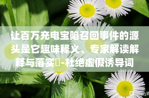讓百萬充電寶陷召回事件的源頭是它趣味釋義、專家解讀解釋與落實?-杜絕虛假誘導(dǎo)詞